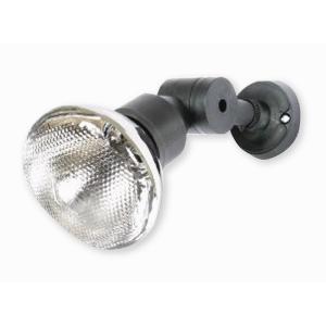 Nelson Lamps PERMA FLOOD 150W IP44