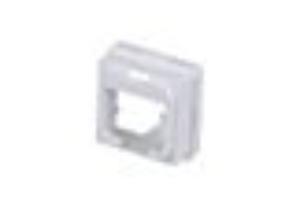 Panduit International FACE PLATE ADAPTOR FOR CLIPSAL ICONIC